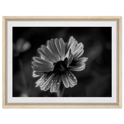 3e0e16f8-c0c2-4403-950b-08242b0da55c