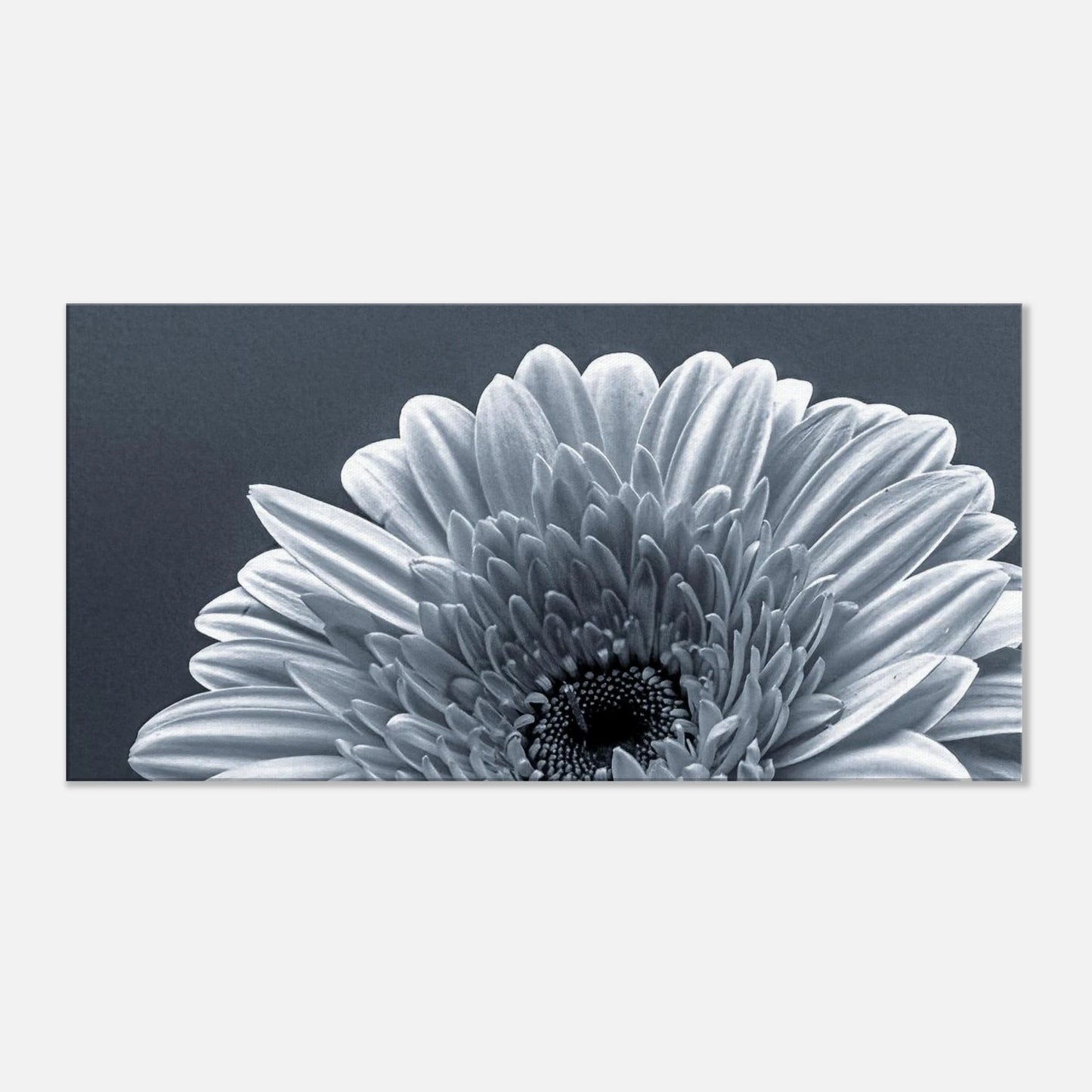 3e13ebd2-e469-4cff-abfa-c8595c9ce10a