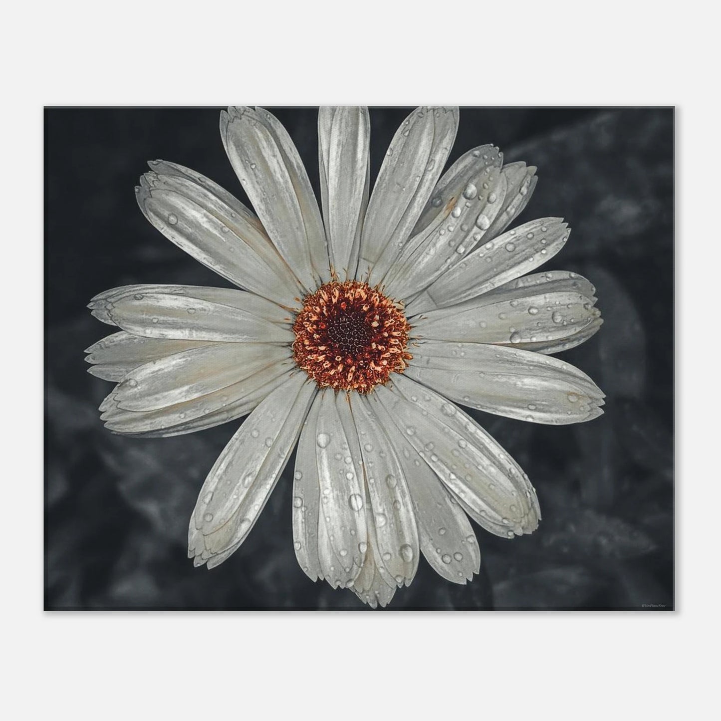 3e7992da-651f-4743-8420-5fda2a61554a