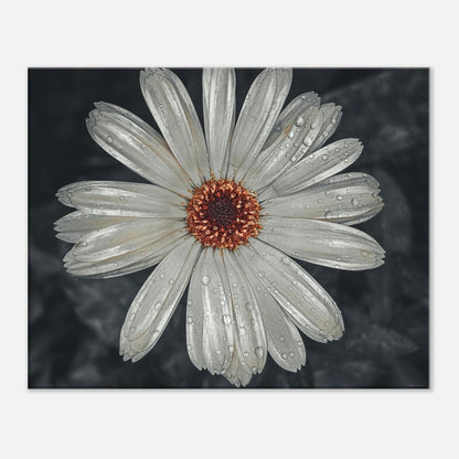 3e7992da-651f-4743-8420-5fda2a61554a