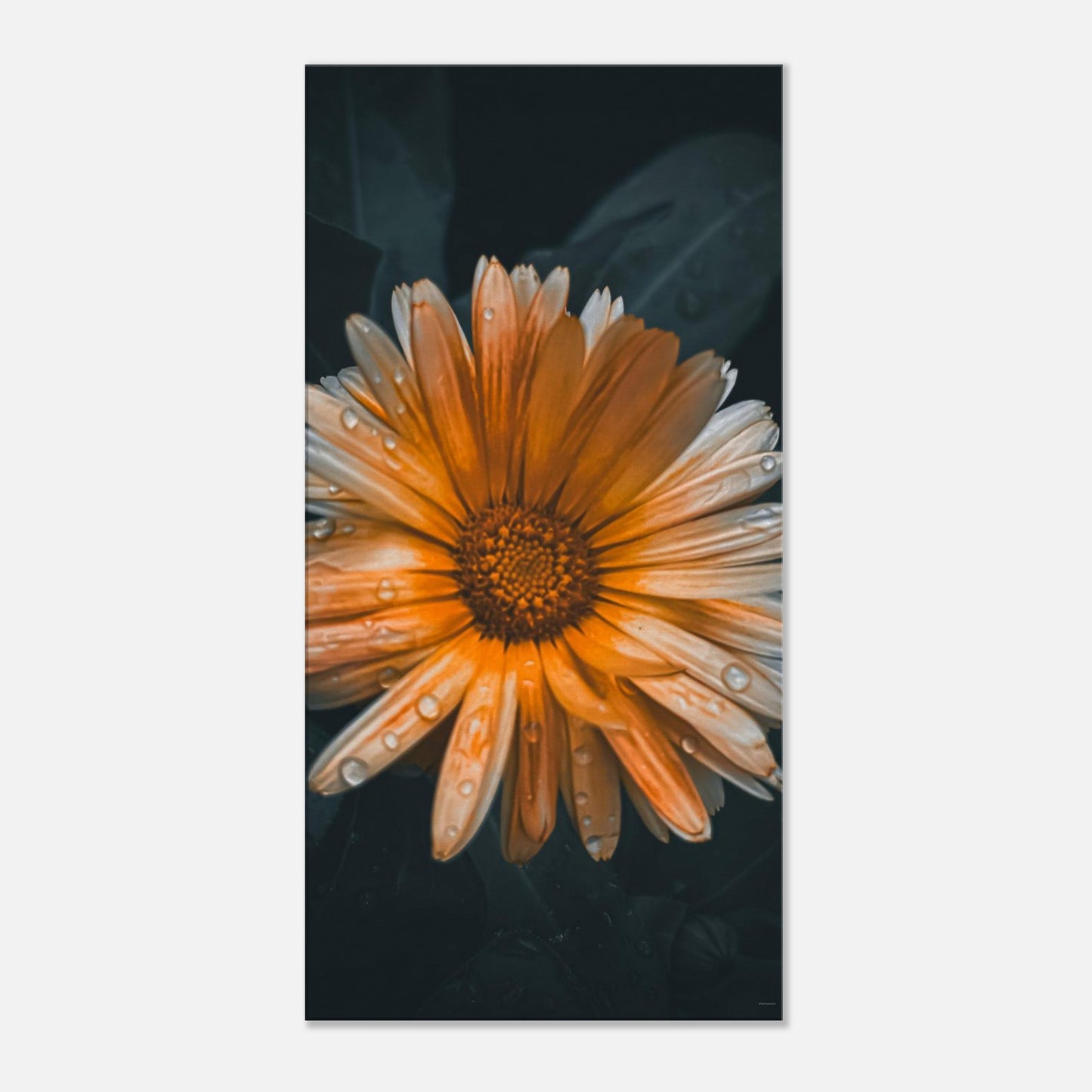 3e807b76-fd8b-4d09-97b4-f8dc41bf6cf9