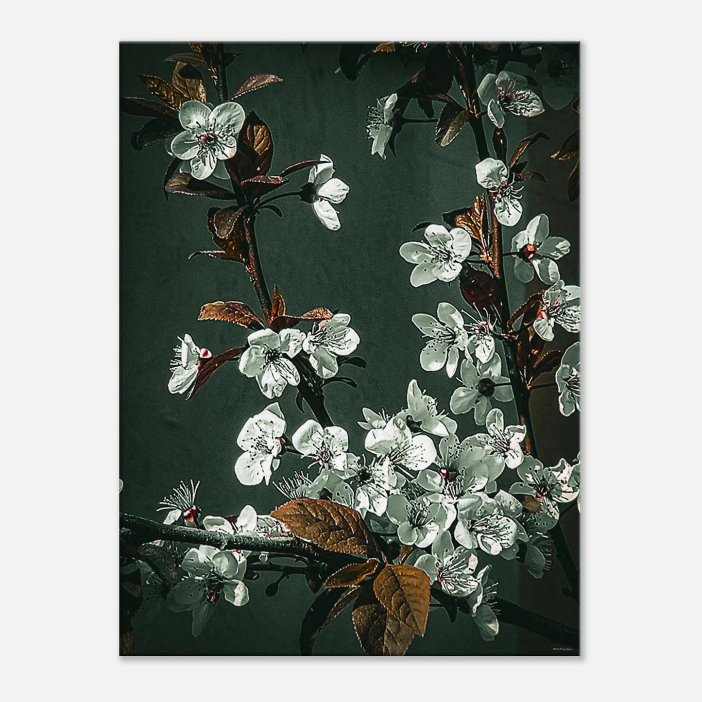 3ea5b134-f19d-4c9d-b007-31eaaba89071