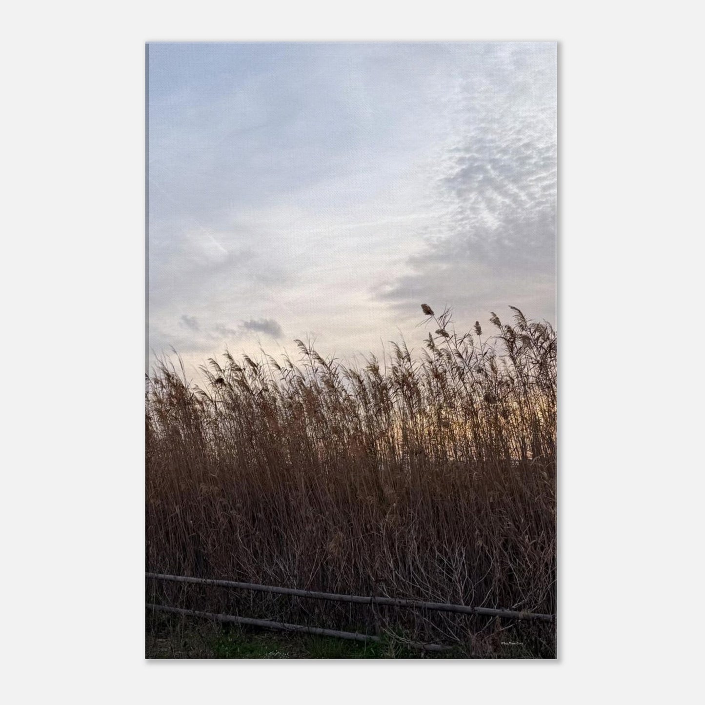 3ed9d4d2-8d4a-40ec-adf6-2cabc05a43d4