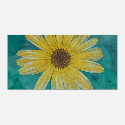 3ee98697-2704-4b2d-9d2e-df2b98b2e22c