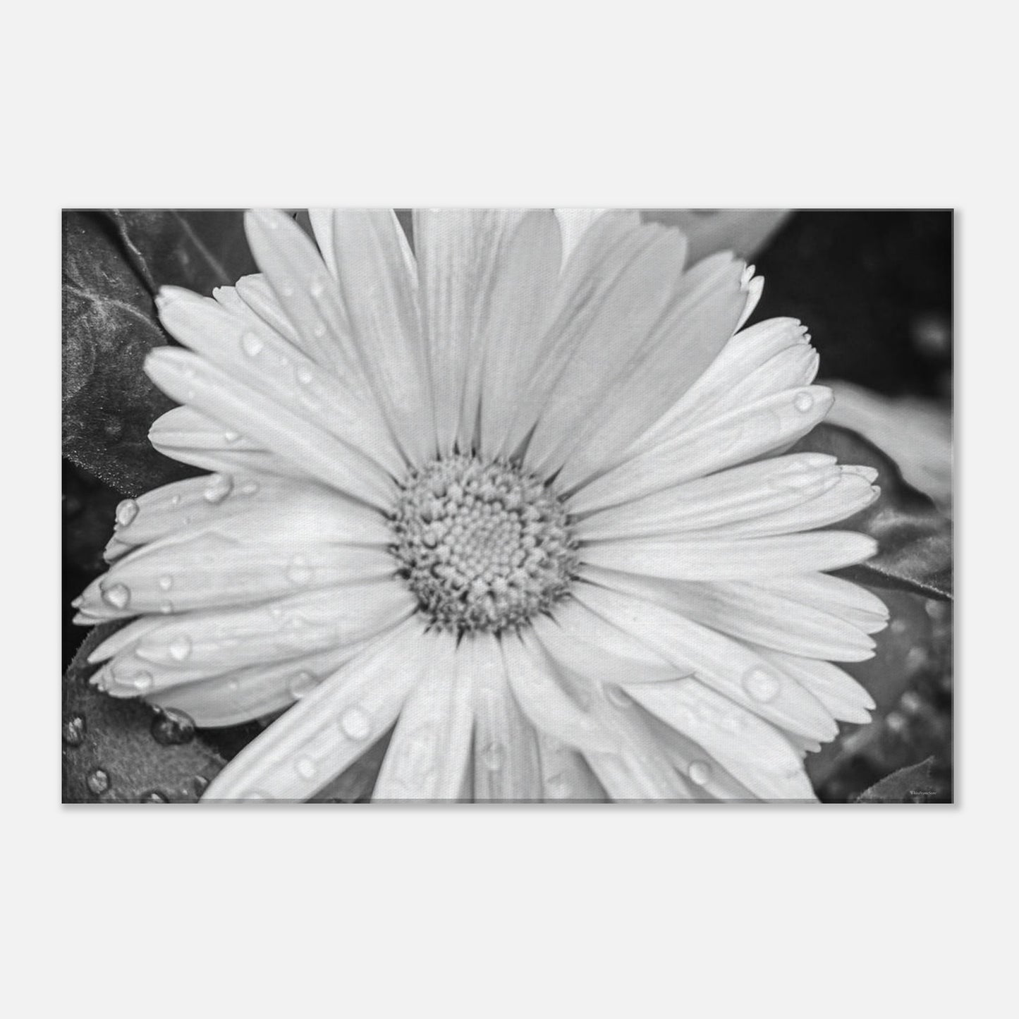 3f18cdd6-f68a-44aa-9324-23af59fbd9cd