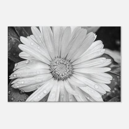 3f18cdd6-f68a-44aa-9324-23af59fbd9cd