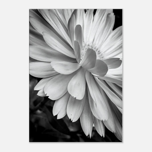 3f336552-be9b-463b-89c5-24896b3774e6