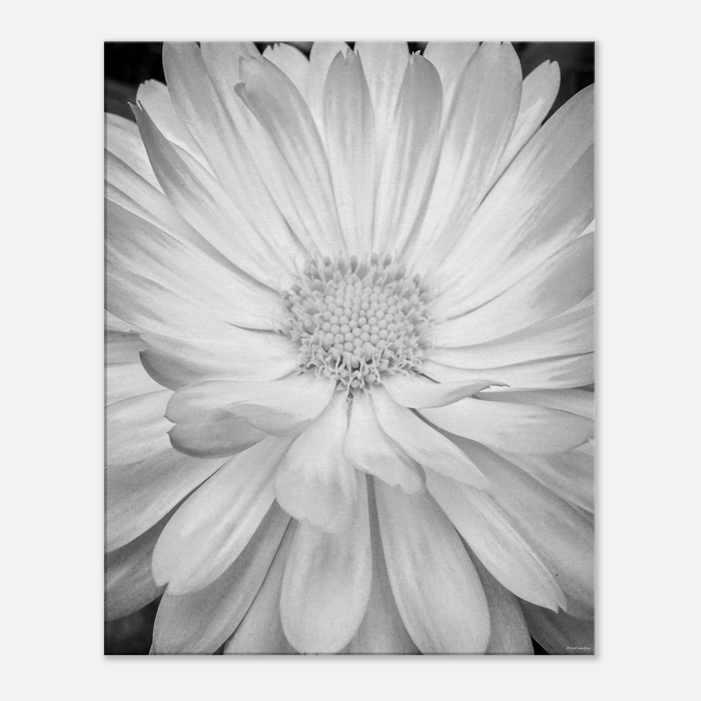 3f64da98-422f-4fc3-b2d7-bce123f07bd3