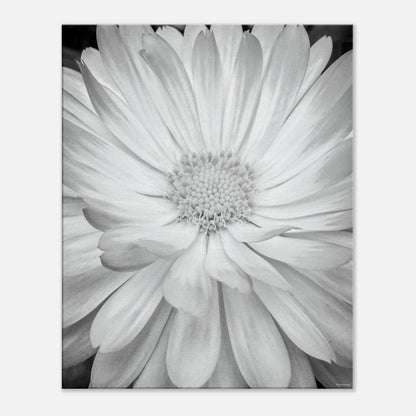 3f64da98-422f-4fc3-b2d7-bce123f07bd3