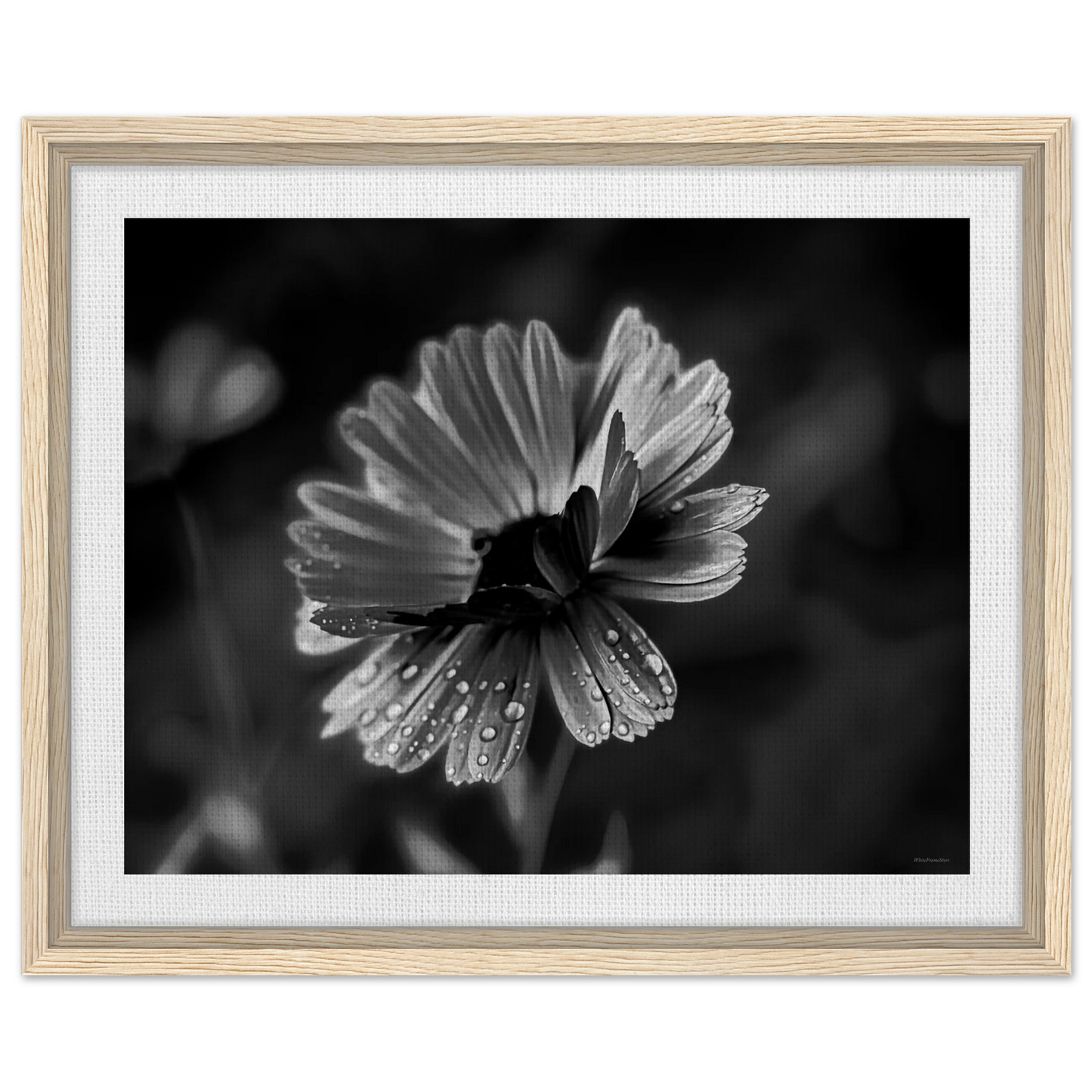 3f88d0bc-d79c-4626-9962-e1fc5568989d