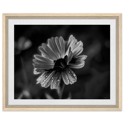 3f88d0bc-d79c-4626-9962-e1fc5568989d