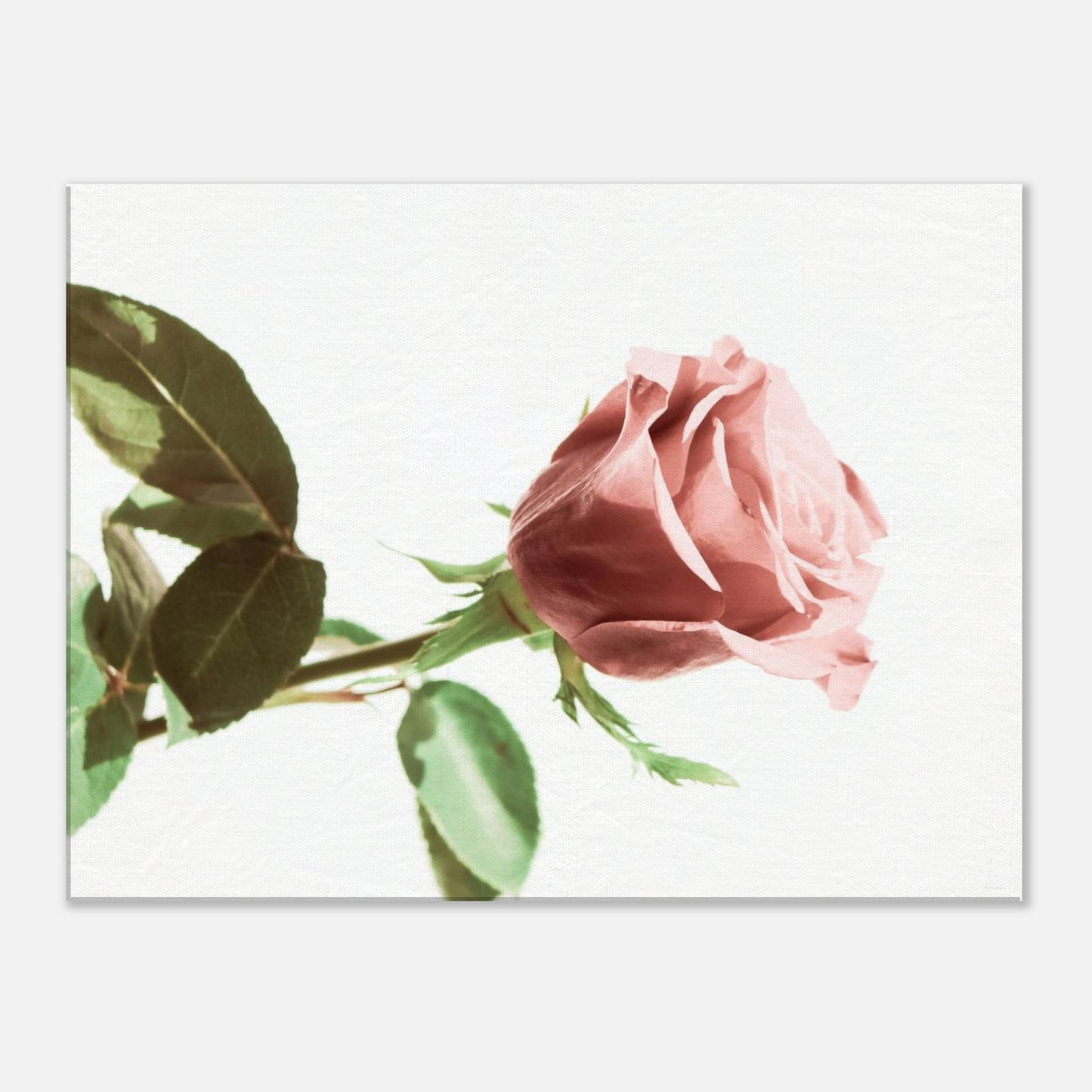 3fac2427-fb1e-4b30-bcab-3b8fcb6a9454