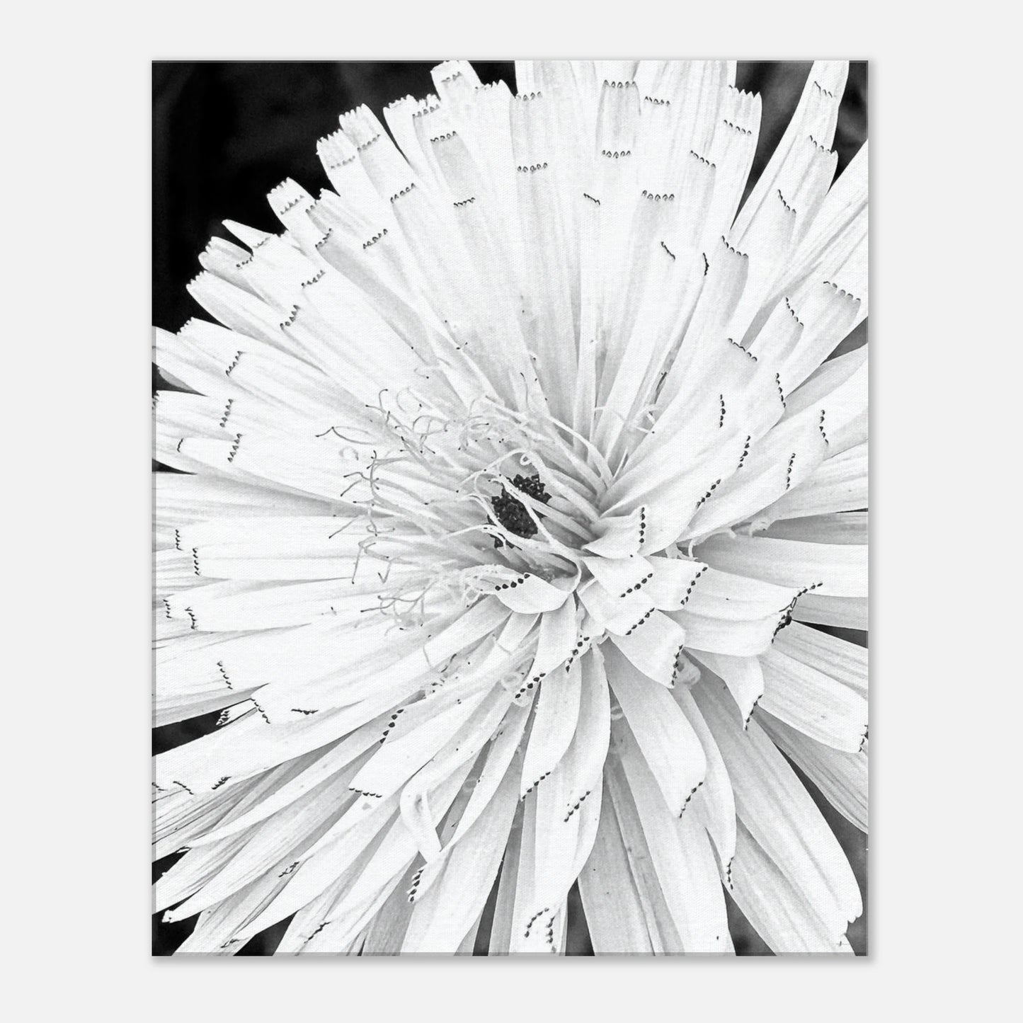 3fd2f5d6-4c21-483f-a7a0-bfe17b560c77