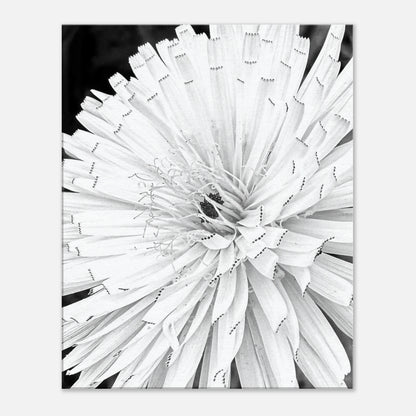 3fd2f5d6-4c21-483f-a7a0-bfe17b560c77