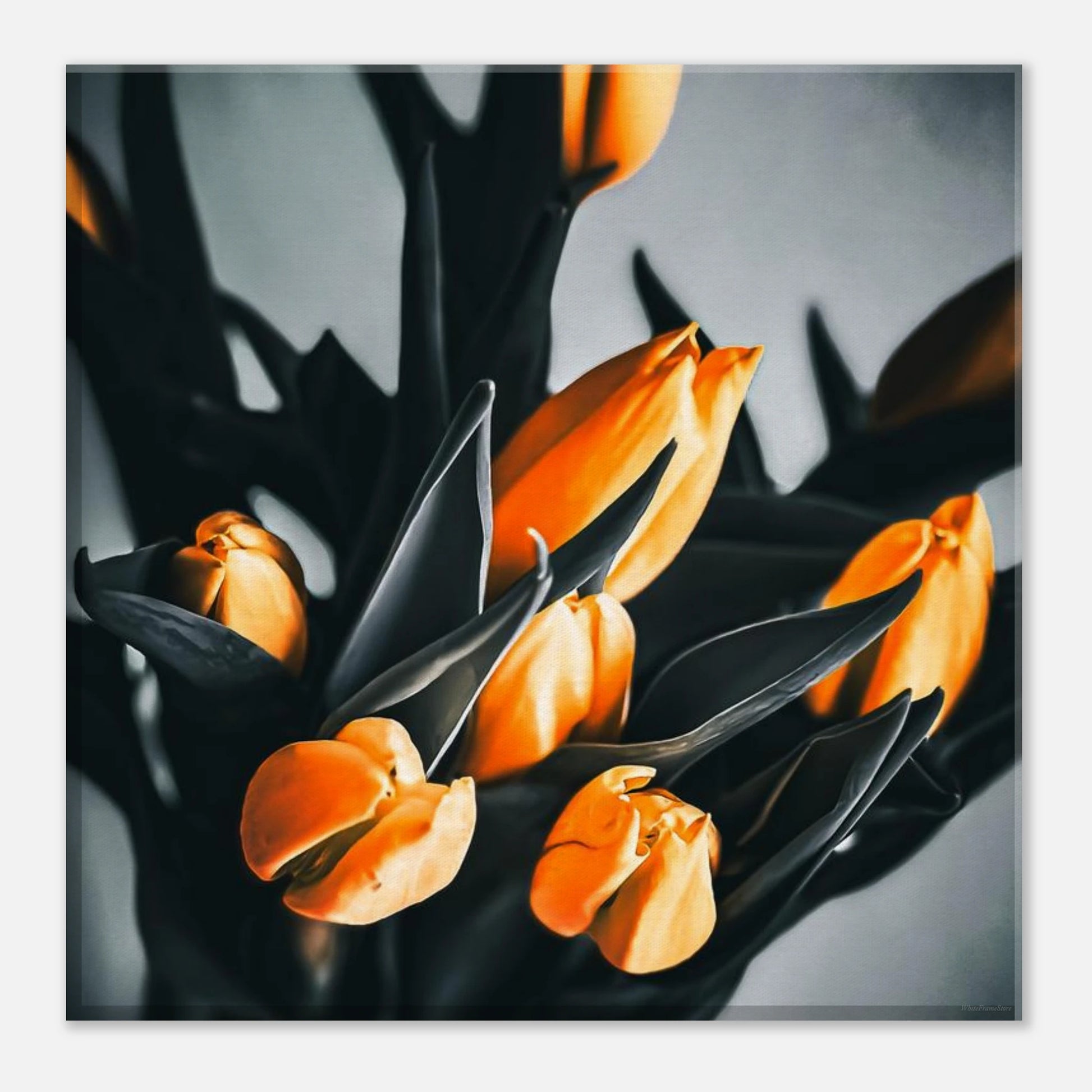 3fe59c0d-7c23-4fd5-acc8-1bb673441d2a