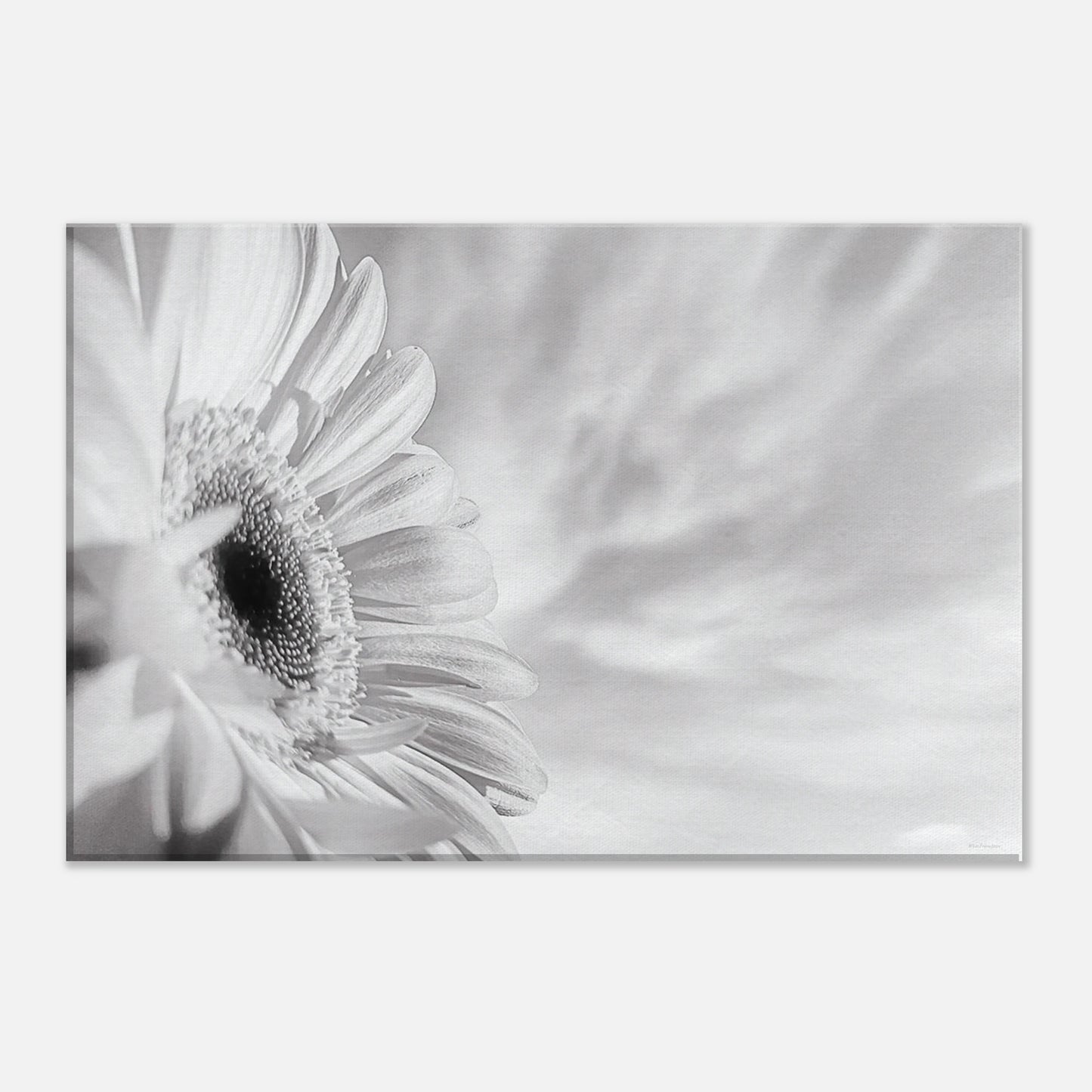 400171e0-bc7d-4479-886f-30b2d220fa99