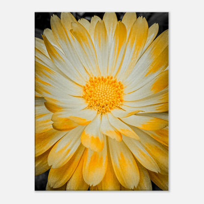 40111951-9939-466a-b3b3-e59ac11a3b9a