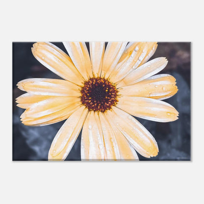 40118c8c-f6e5-45ec-8c6a-380caeaac7bf