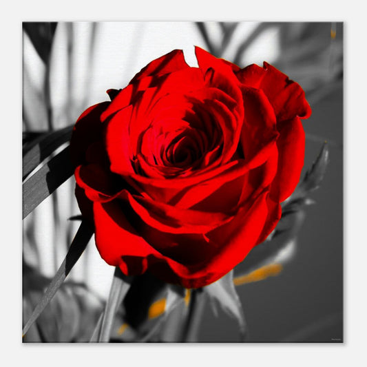 4019f3d4-0dbb-4b08-ad43-3085a12abb6e