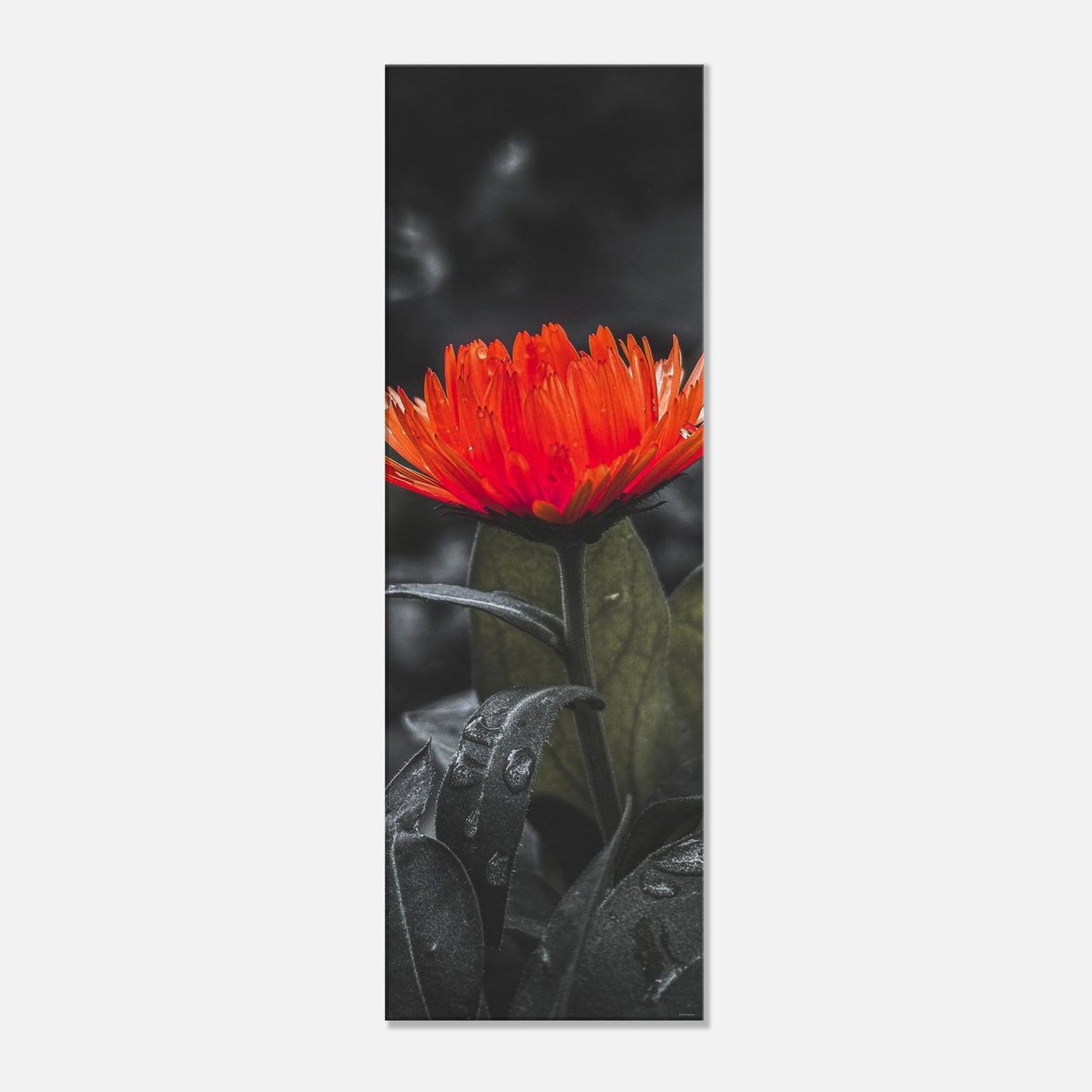 401e57d8-87c2-4c12-8ece-3a8a4135a1a1