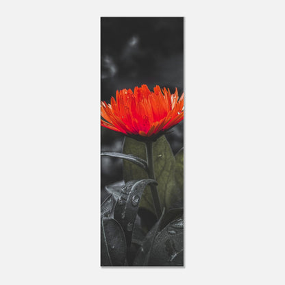 401e57d8-87c2-4c12-8ece-3a8a4135a1a1