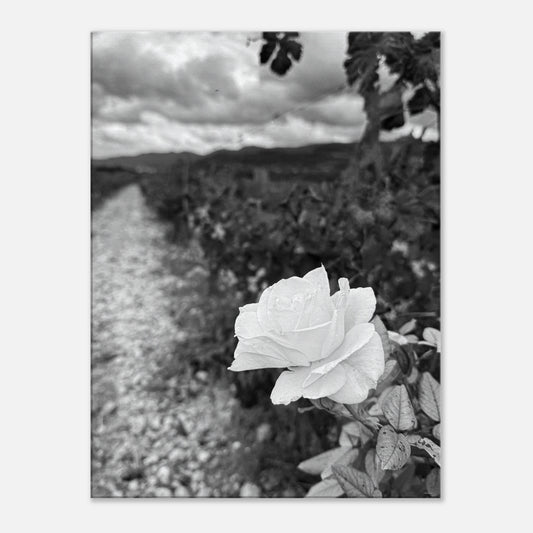 4024edc6-eb1e-48ea-b401-018d59b3aa8a