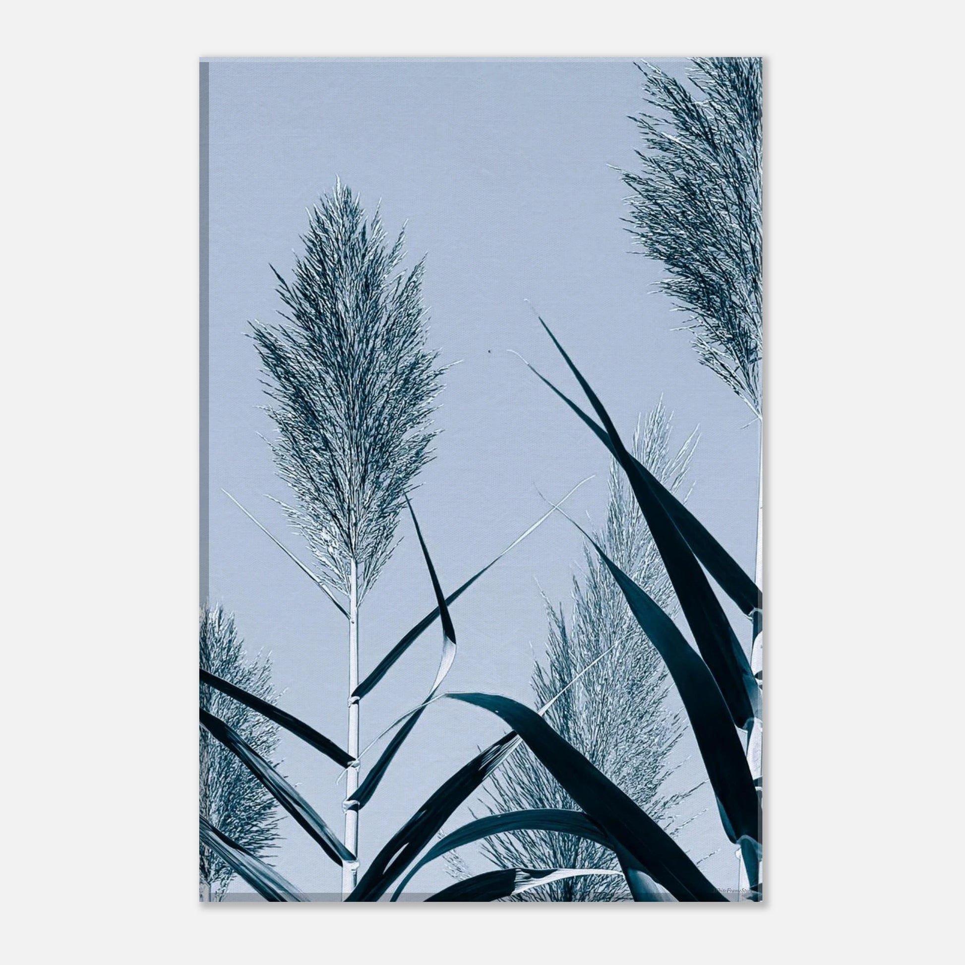 4066c2a6-aee1-4aac-8de2-9f62c0df1b81