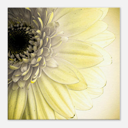 40677cbe-1b1e-4af7-aeb0-64e492cfddbc