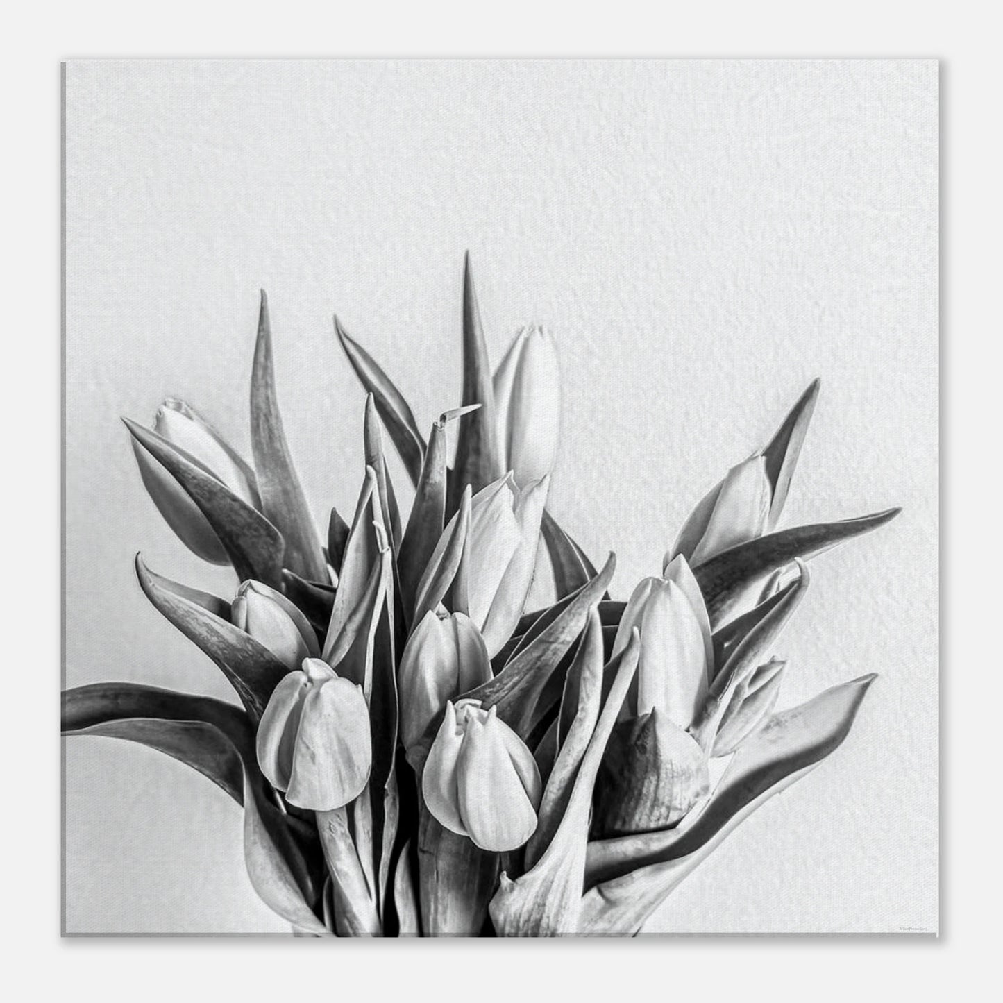 407328b0-5bf0-43d2-8e60-0e6686e154ec