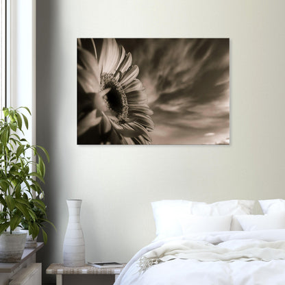 408b2435-edd4-4370-b307-f4a7d1ceb567