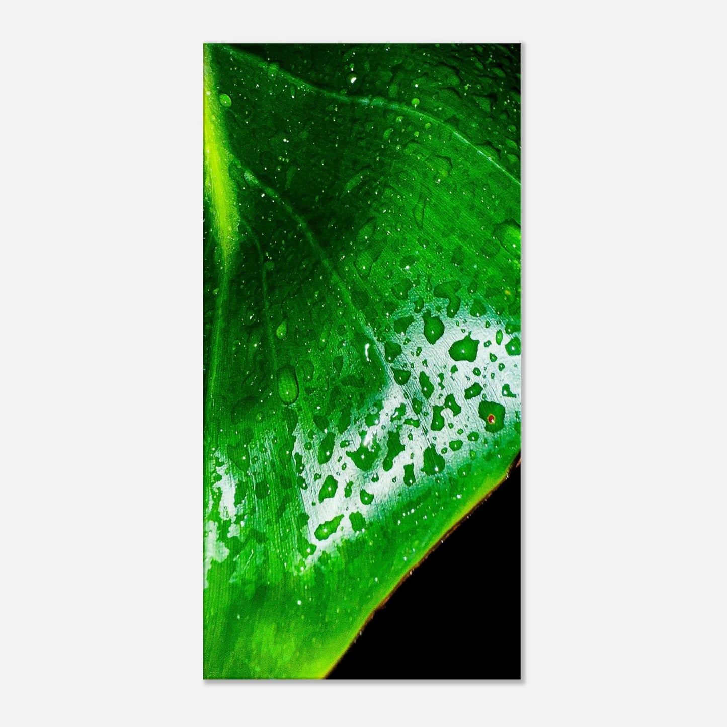 40b8f092-dece-49b2-9dcd-3c3fad704bde