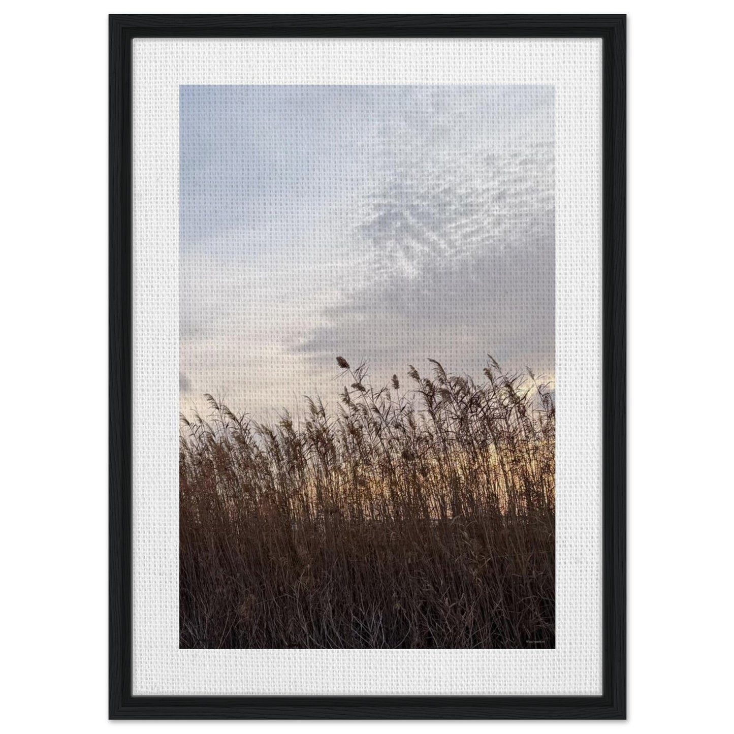 40bd61f1-fac2-4374-a418-b93a065bc290