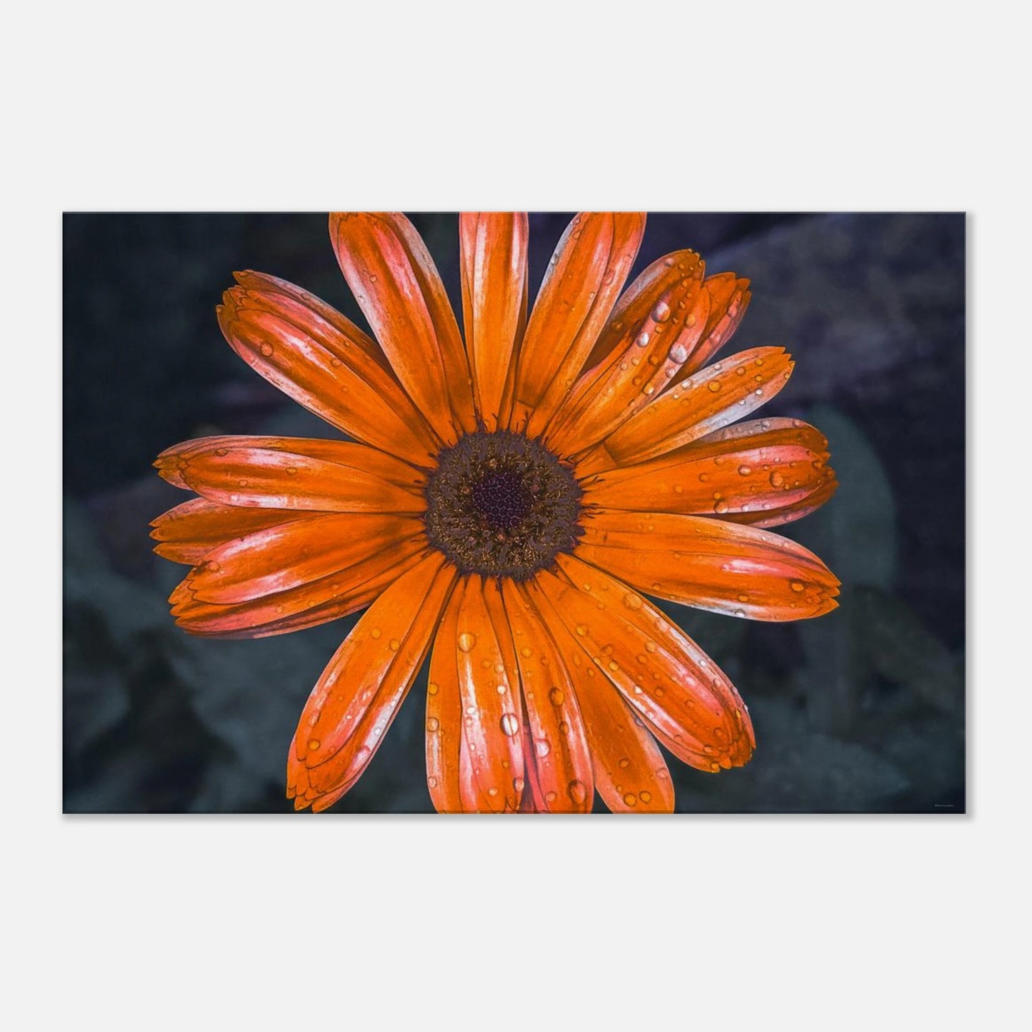 40c81495-585d-49ce-bd52-a57f03fa8155