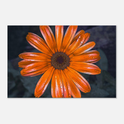 40c81495-585d-49ce-bd52-a57f03fa8155