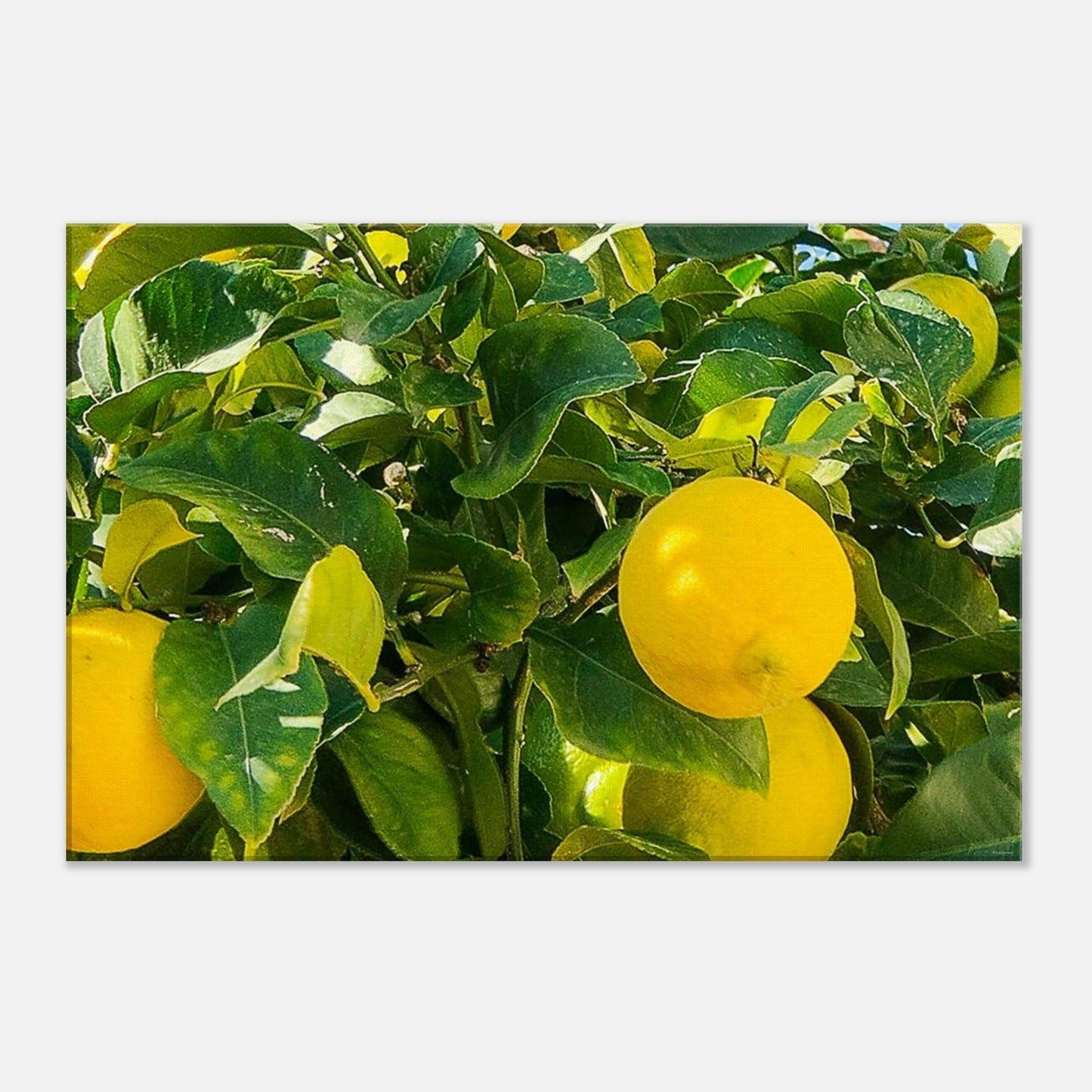 40f0f0de-2867-4abd-a12f-2cacae4dba3f