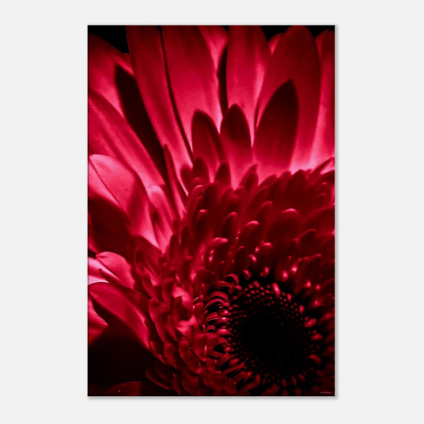 40f89997-6ffd-44b8-ade1-b358fe287f4b