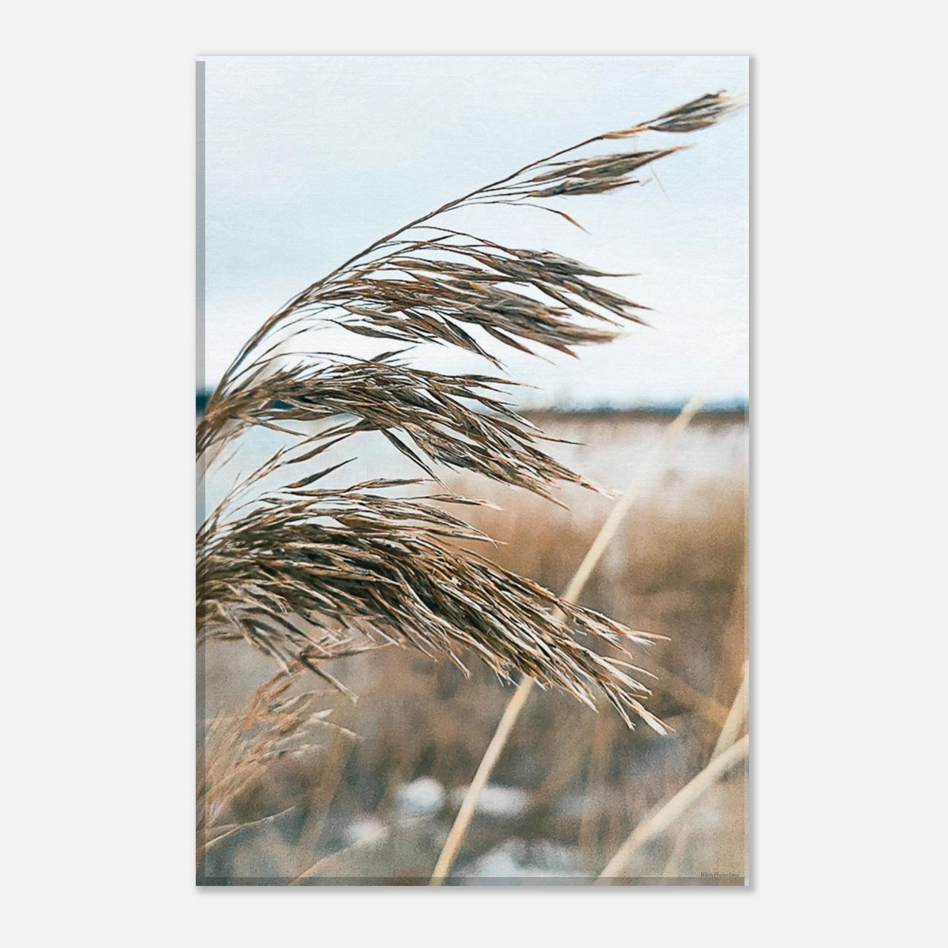 410608f7-46fc-4415-a43c-5ebdcc13b198