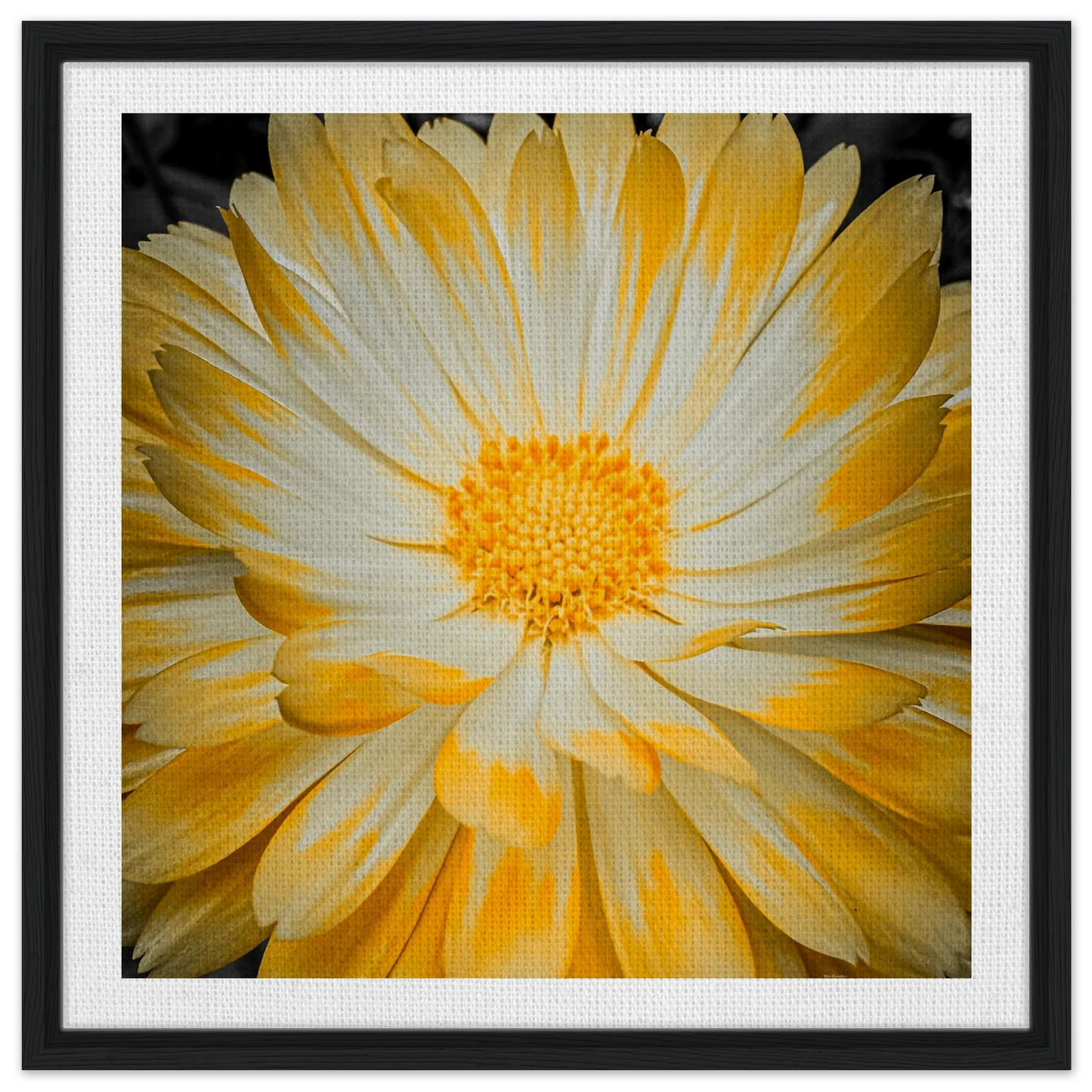 4133ca03-7eb2-4483-8baf-cc814f16a8a5