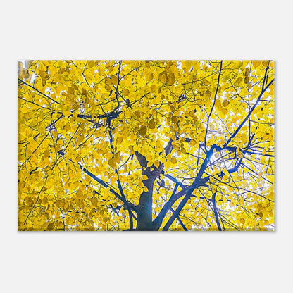 4137f6fc-d8d8-42d1-85df-c6433e5c8088