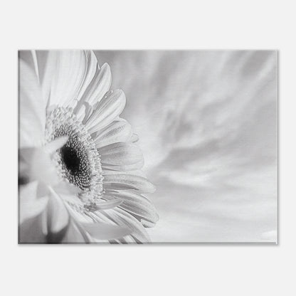 418ed685-aafc-4d49-9a66-acef597d4977