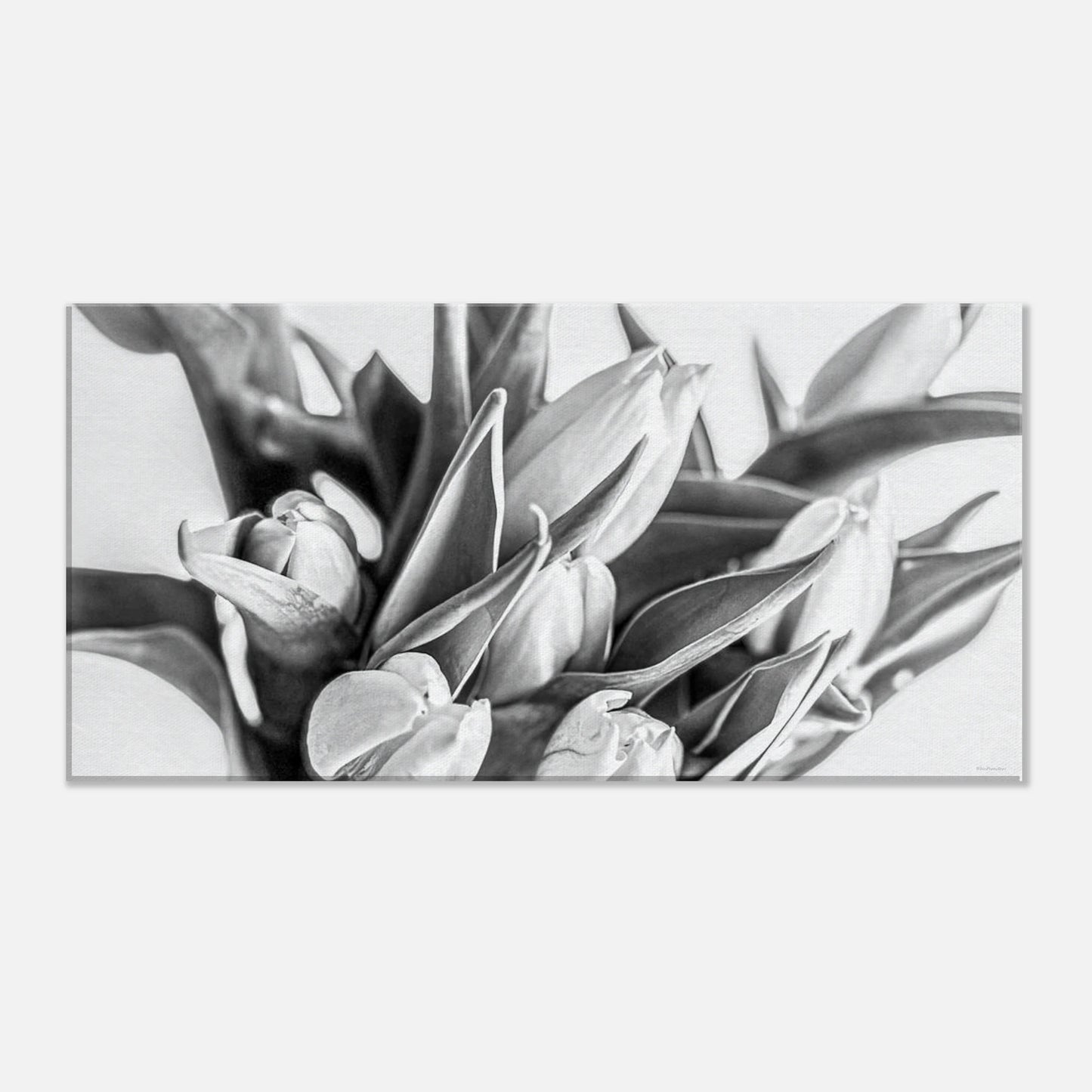 42141b76-6455-4dd9-9255-5adf7df353ea