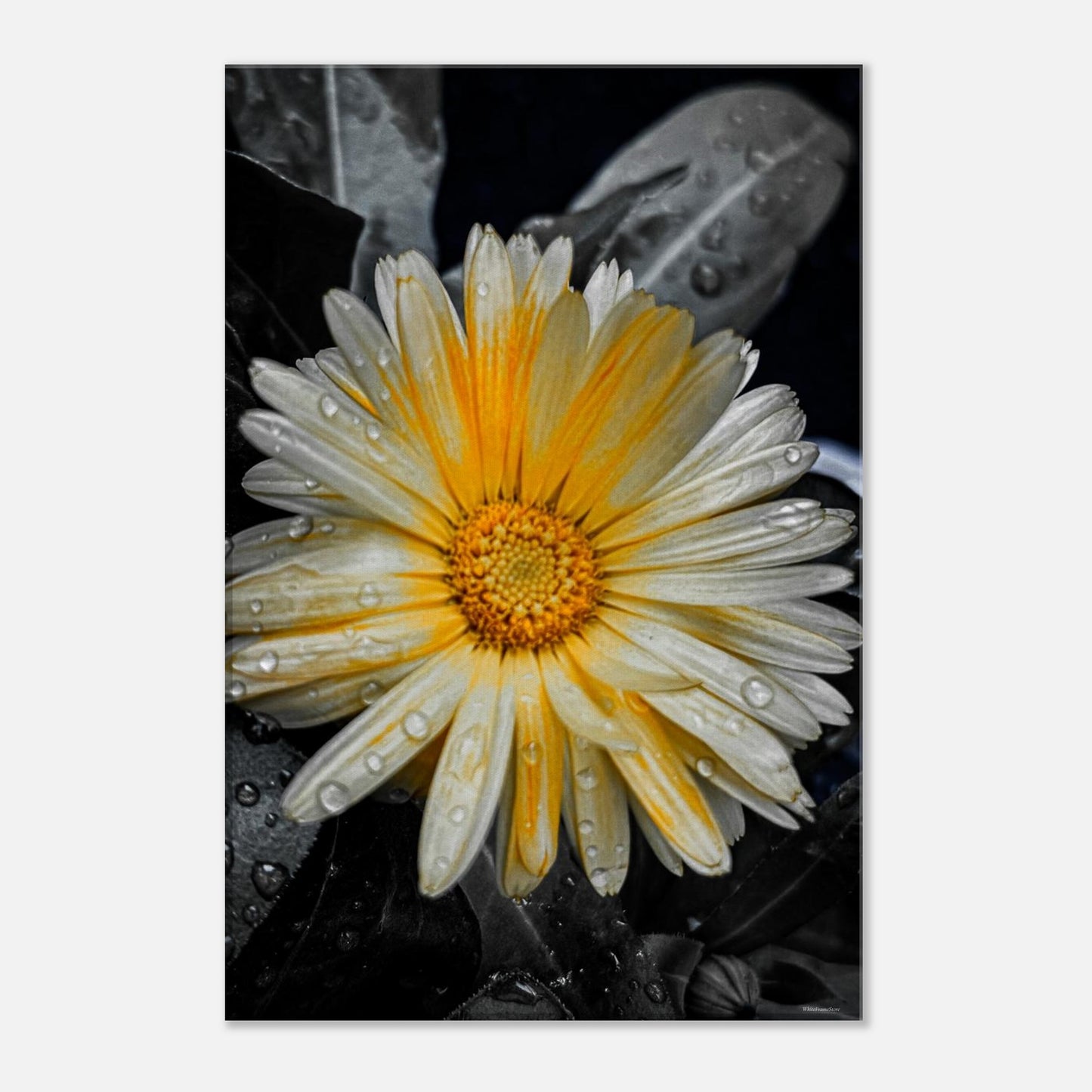 42325a27-ef62-45b1-a4f1-2b3c3274a812