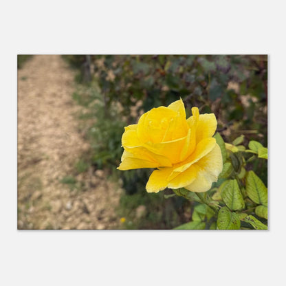 425b63d6-b238-424a-8718-aa3fb92cdad2