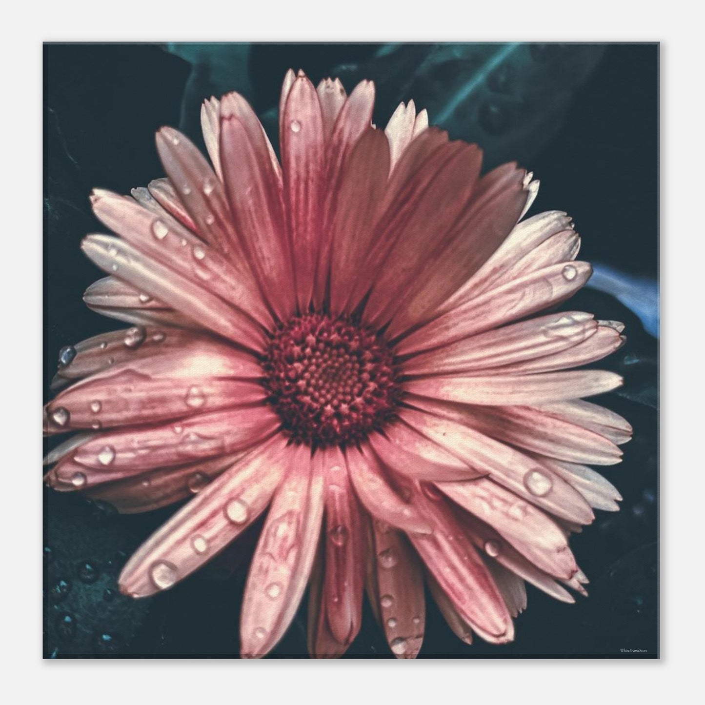 4273ef38-980f-446c-a8b1-b8addacda3de