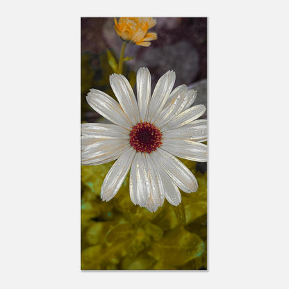 4279306b-3c34-433a-94b2-5b017aaaca2a