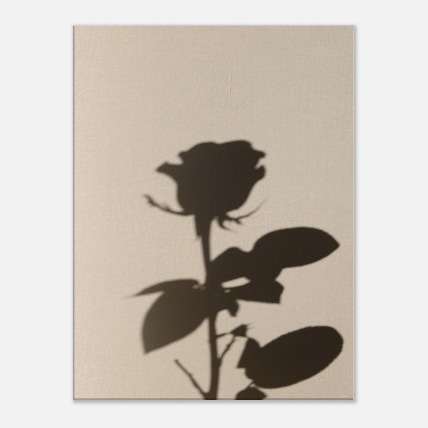 427c1927-3b4f-42c2-a01a-87c4248a5c61