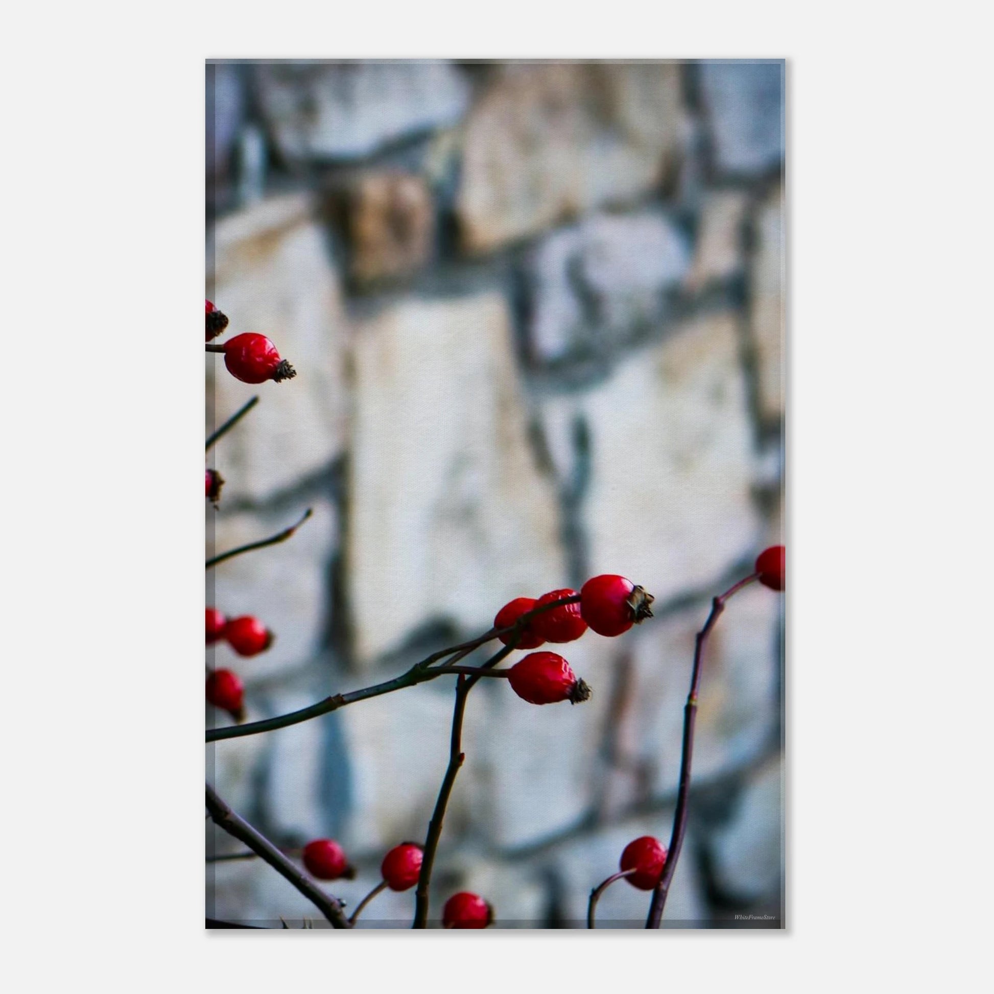 42b54b75-a8d5-4fba-827b-489773fa04ef