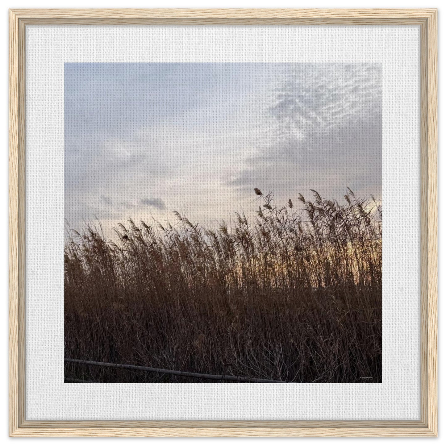 42c74628-5fe8-4218-ae70-beb556497438