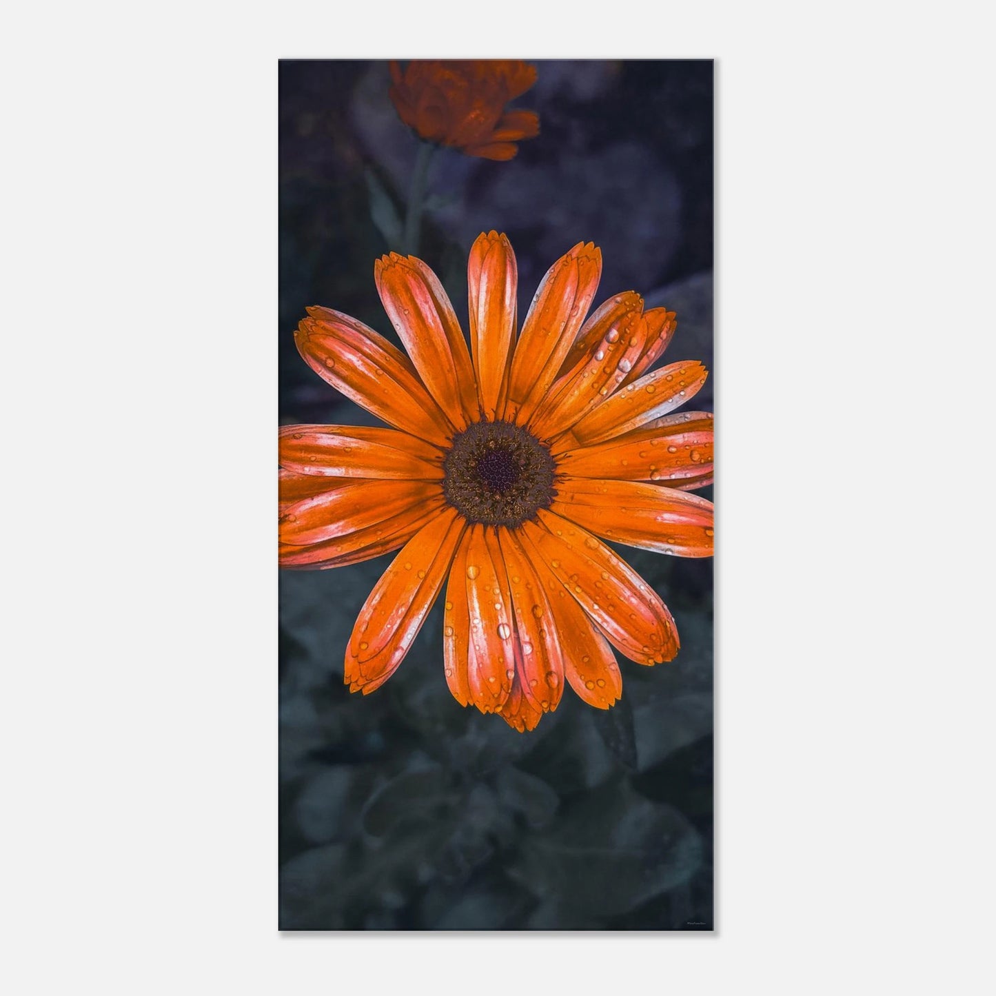 42e093da-80b6-4798-bbaf-589f65632dd6