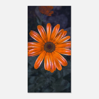 42e093da-80b6-4798-bbaf-589f65632dd6